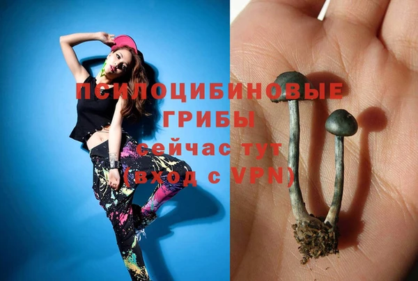 герыч Нязепетровск